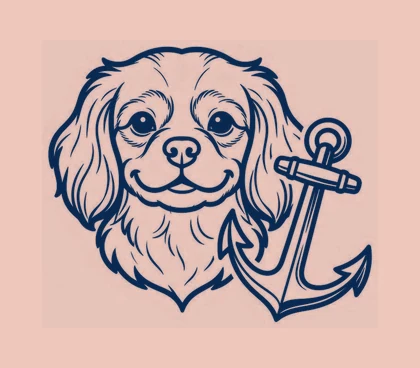 Cavaliers Sport